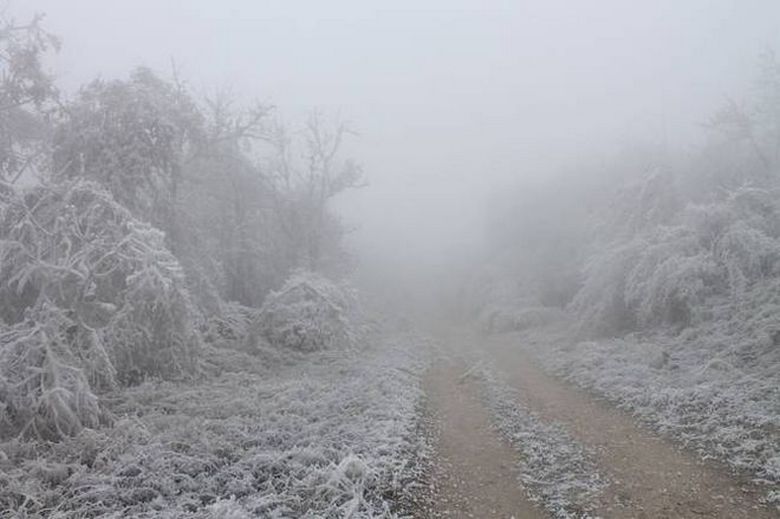 Ледяной туман в Венгрии