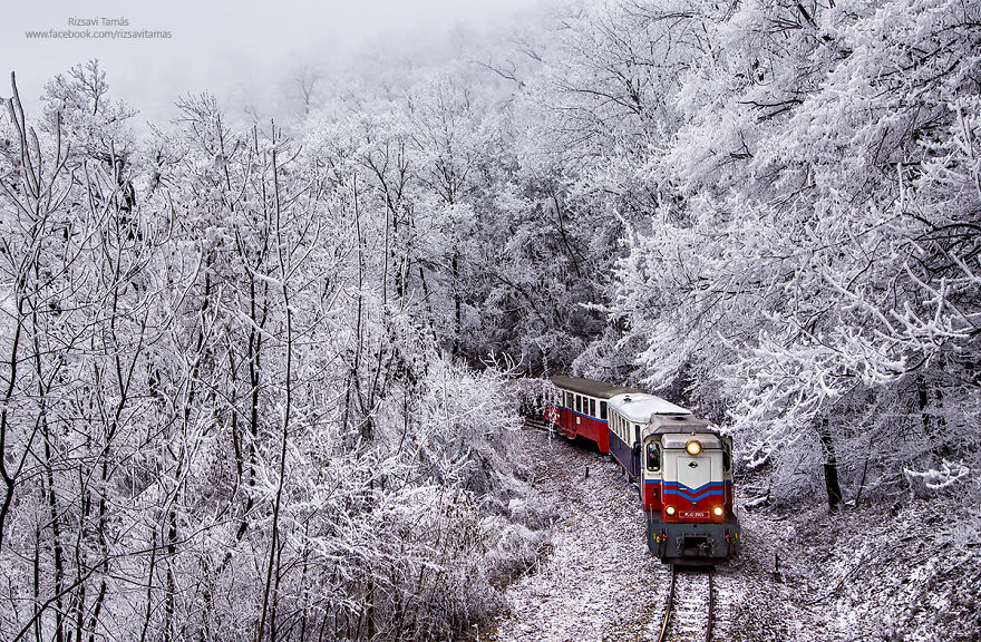 Зимний венгерский лес