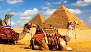 Стоимость египетской визы увеличится